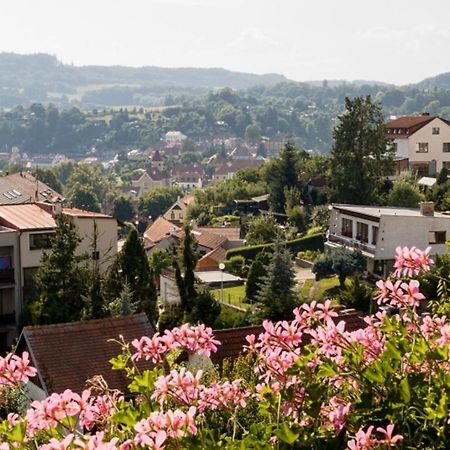 Element Bed & Breakfast Cesky Krumlov Exterior photo